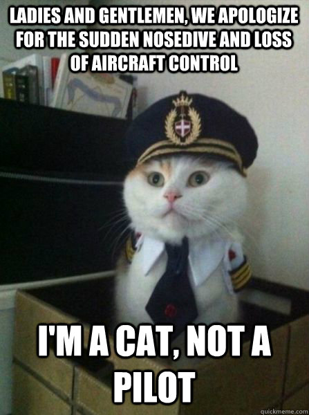 LADIES AND GENTLEMEN, WE APOLOGIZE FOR THE SUDDEN NOSEDIVE AND LOSS OF AIRCRAFT CONTROL I'm a cat, not a pilot  Captain kitteh