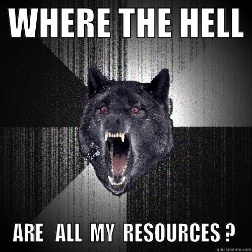  WHERE THE HELL  ARE   ALL  MY  RESOURCES ? Insanity Wolf