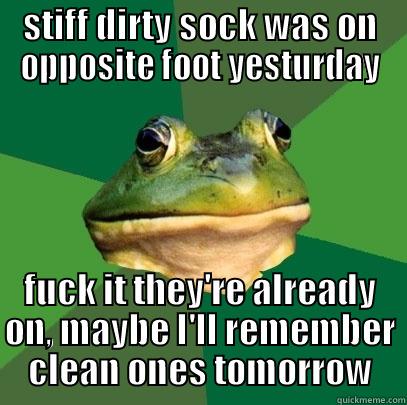 STIFF DIRTY SOCK WAS ON OPPOSITE FOOT YESTURDAY FUCK IT THEY'RE ALREADY ON, MAYBE I'LL REMEMBER CLEAN ONES TOMORROW Foul Bachelor Frog