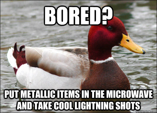 Bored? Put metallic items in the microwave and take cool lightning shots  Malicious Advice Mallard