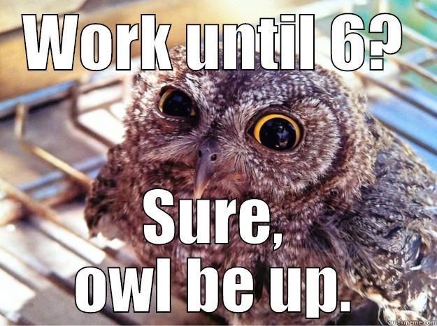 Arthur working late - WORK UNTIL 6? SURE, OWL BE UP. Skeptical Owl