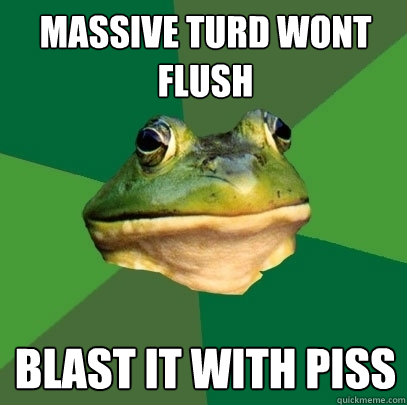 massive turd wont flush blast it with piss  Foul Bachelor Frog