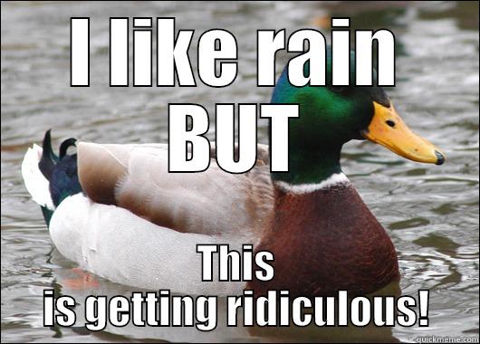 I LIKE RAIN BUT THIS IS GETTING RIDICULOUS! Actual Advice Mallard