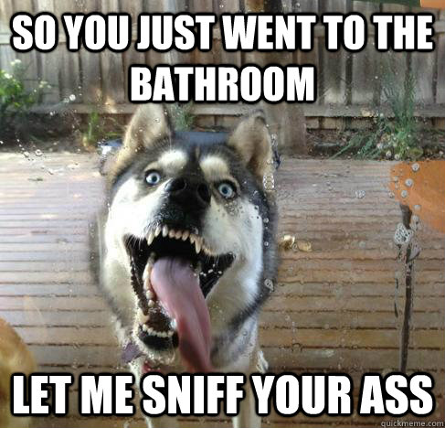 So you just went to the bathroom let me sniff your ass - So you just went to the bathroom let me sniff your ass  Overly Attached Dog