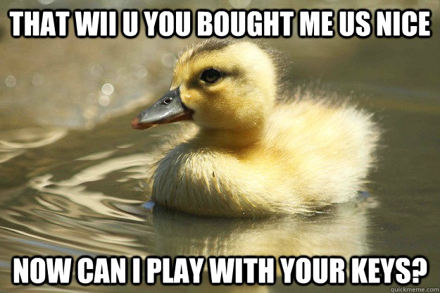That Wii U you bought me us nice now can i play with your keys?  