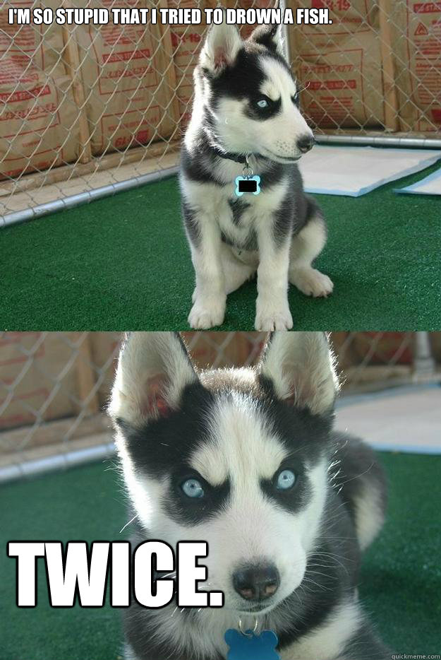 I'm so stupid that I tried to drown a fish. TWICE.  Insanity puppy