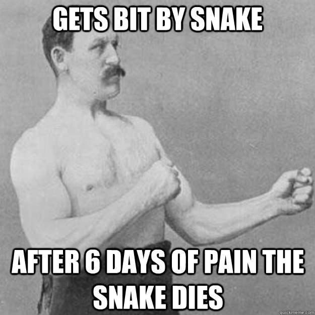 Gets bit by snake After 6 days of pain the snake dies  overly manly man