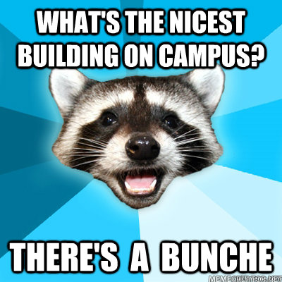 What's the nicest building on campus? There's  a  Bunche  Lame Pun Raccoon
