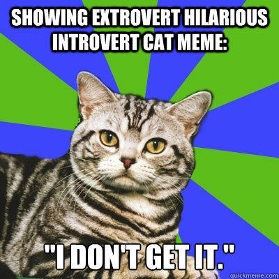 showing extrovert hilarious introvert cat meme: 