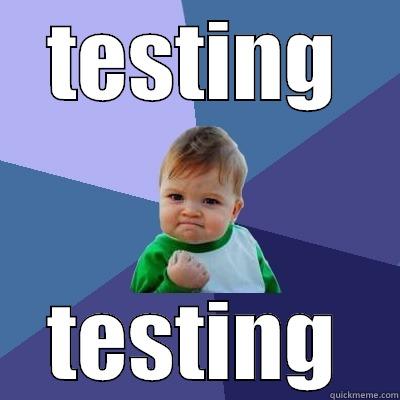 TESTING TESTING Success Kid