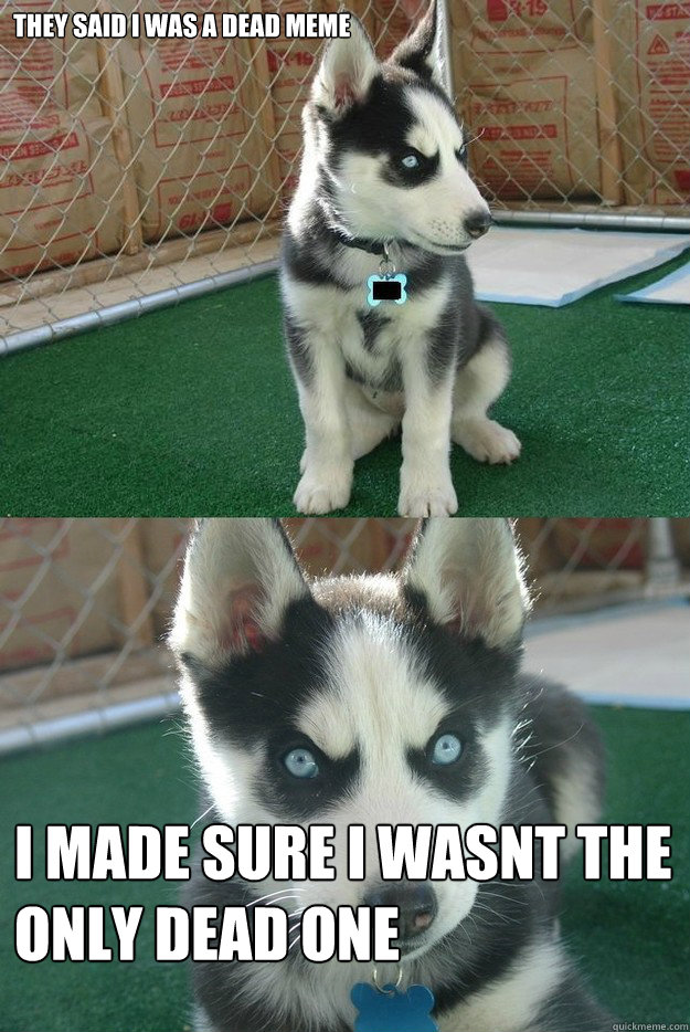 they said i was a dead meme i made sure i wasnt the only dead one  Insanity puppy