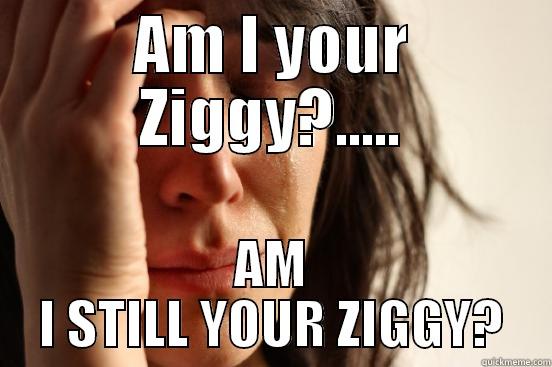 AM I YOUR ZIGGY?..... AM I STILL YOUR ZIGGY? First World Problems