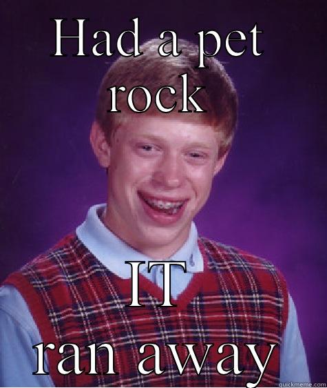 HAD A PET ROCK IT RAN AWAY Bad Luck Brian
