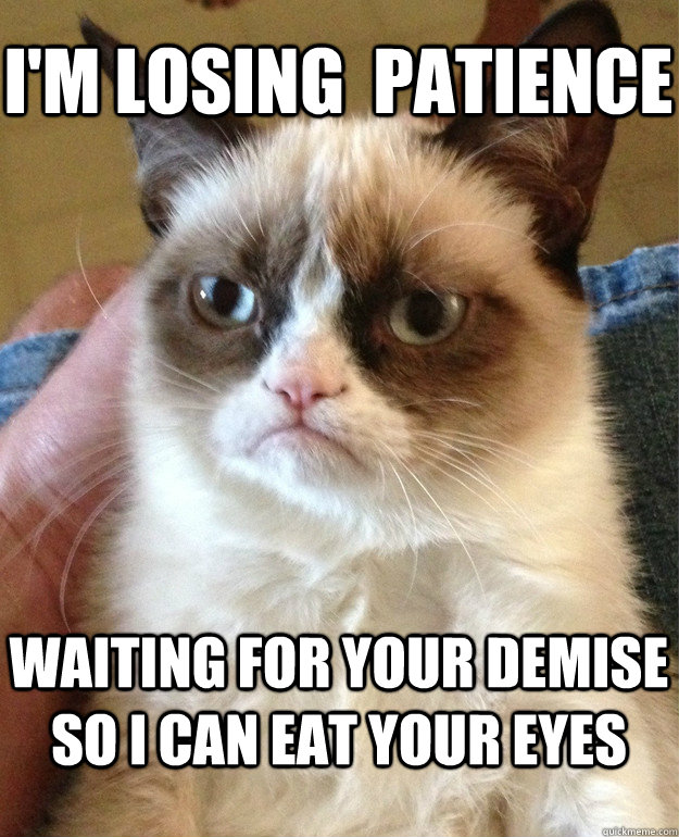 I'm losing  patience waiting for your demise so i can eat your eyes  Grumpy Cat