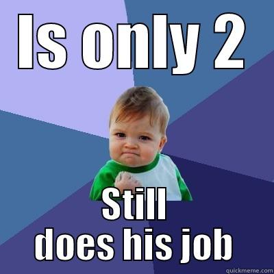 IS ONLY 2 STILL DOES HIS JOB Success Kid