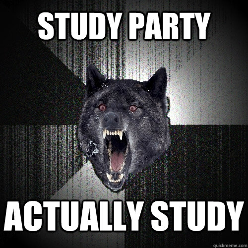 study party actually study  Insanity Wolf
