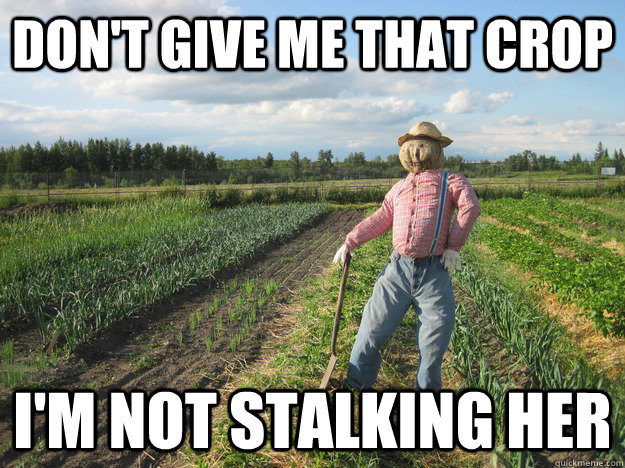Don't give me that crop I'm not stalking her - Don't give me that crop I'm not stalking her  Scarecrow
