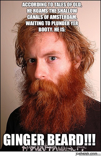 GINGER BEARD!!! According to tales of old, he roams the shallow canals of Amsterdam, waiting to plunder yer booty. He is:  