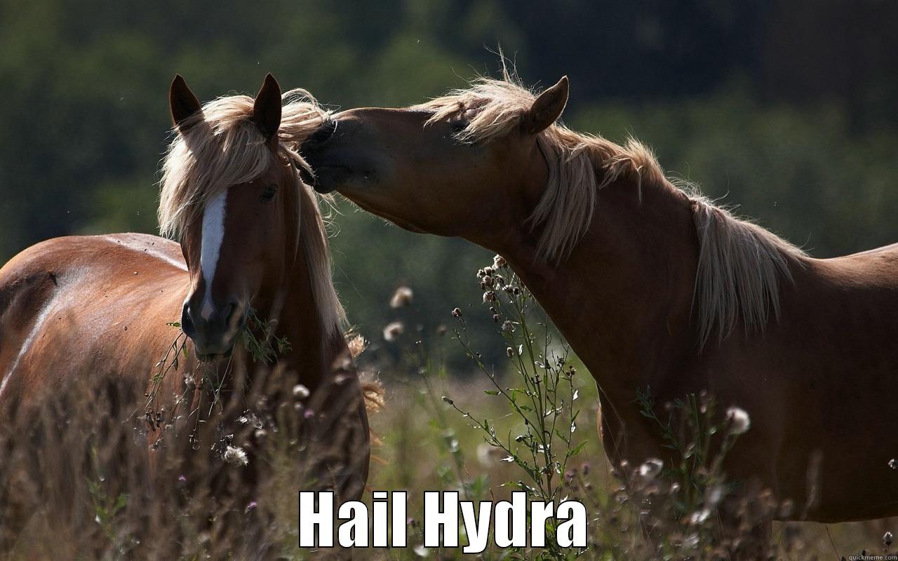  HAIL HYDRA Misc