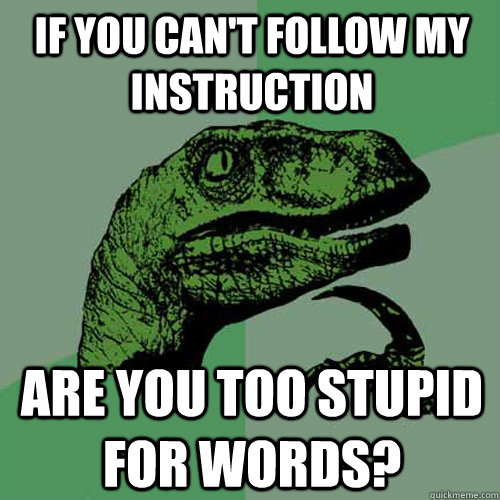 If you can't follow my instruction Are you too stupid for words? - If you can't follow my instruction Are you too stupid for words?  Philosoraptor