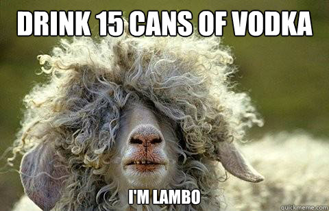 Drink 15 cans of vodka i'm lambo  Party Sheep