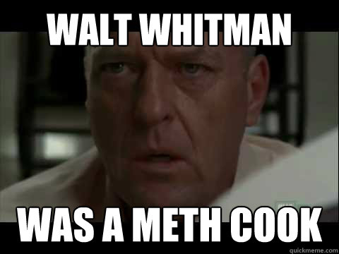 Walt Whitman was a meth cook - Walt Whitman was a meth cook  Realization Hank Schrader