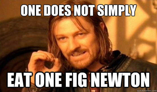 One Does Not Simply eat one fig newton  Boromir