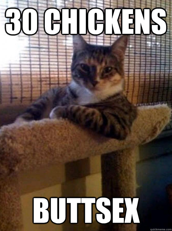 30 chickens buttsex  The Most Interesting Cat in the World
