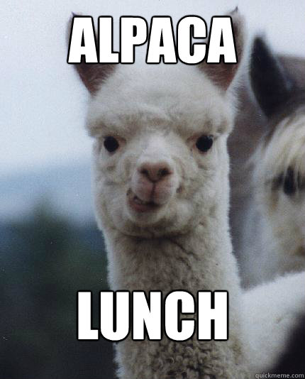 Alpaca LUNCH  