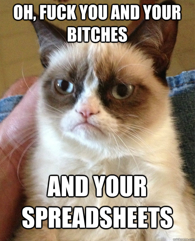 oh, fuck you and your bitches and your spreadsheets  Grumpy Cat