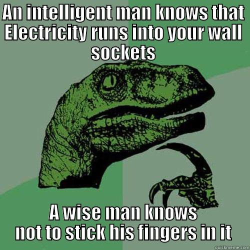 AN INTELLIGENT MAN KNOWS THAT ELECTRICITY RUNS INTO YOUR WALL SOCKETS A WISE MAN KNOWS NOT TO STICK HIS FINGERS IN IT Philosoraptor