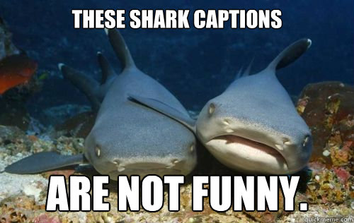 these shark captions are not funny. - these shark captions are not funny.  Compassionate Shark Friend