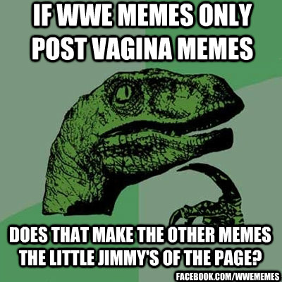 IF WWE MEMES ONLY POST VAGINA MEMES DOES THAT MAKE THE OTHER MEMES THE LITTLE JIMMY'S OF THE PAGE? FACEBOOK.COM/WWEMEMES  