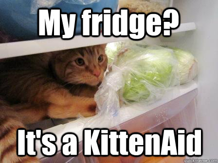 My fridge? It's a KittenAid  
