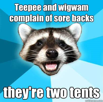 Teepee and wigwam complain of sore backs they're two tents   Lame Pun Coon