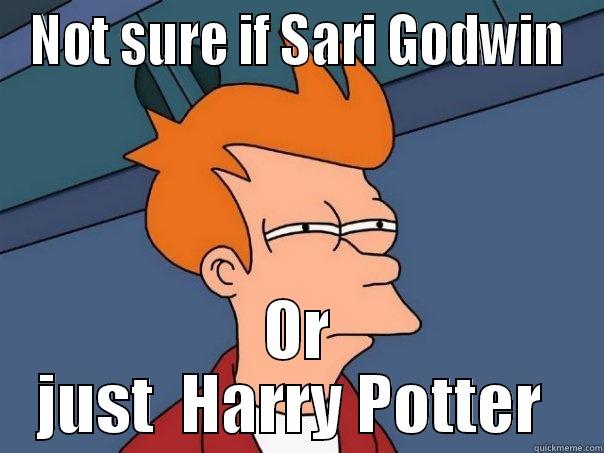 NOT SURE IF SARI GODWIN OR JUST  HARRY POTTER  Futurama Fry