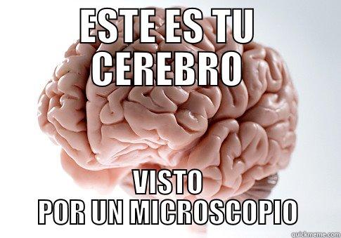 ESTE ES TU CEREBRO VISTO POR UN MICROSCOPIO Scumbag Brain