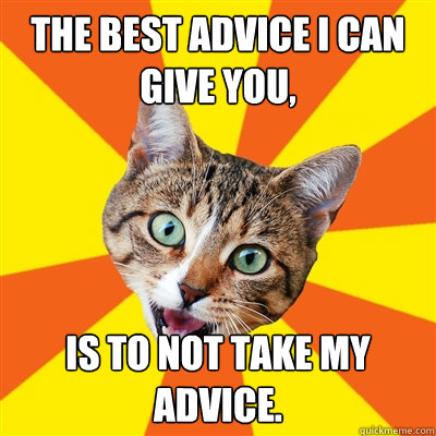 The best advice i can give you, is to not take my advice.  Bad Advice Cat