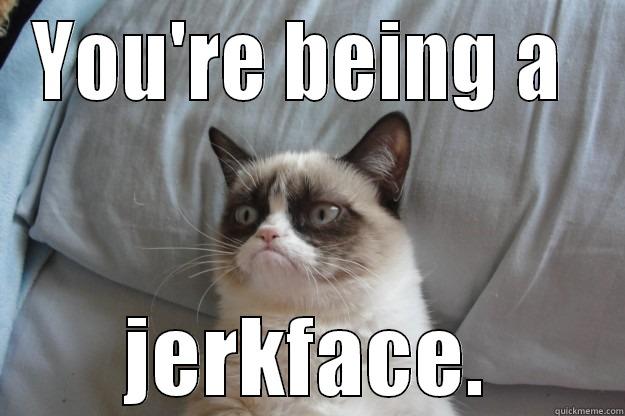 You're being a meanie. That's what I said. - YOU'RE BEING A  JERKFACE. Grumpy Cat