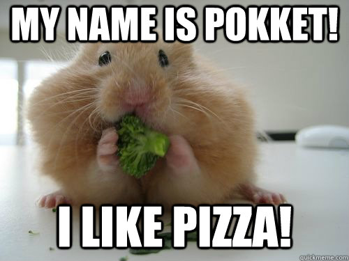My name is Pokket! I like Pizza!  