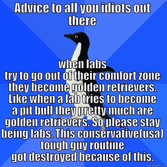 ADVICE TO ALL YOU IDIOTS OUT THERE WHEN LABS TRY TO GO OUT OF THEIR COMFORT ZONE THEY BECOME GOLDEN RETRIEVERS. LIKE WHEN A LAB TRIES TO BECOME A PIT BULL THEY PRETTY MUCH ARE GOLDEN RETRIEVERS. SO PLEASE STAY BEING LABS. THIS CONSERVATIVE(USA) TOUGH GUY ROUTINE GOT DESTROYED BECAUSE OF TH Socially Awkward Penguin