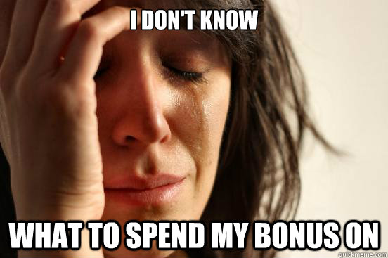 I don't know What to spend my bonus on  First World Problems