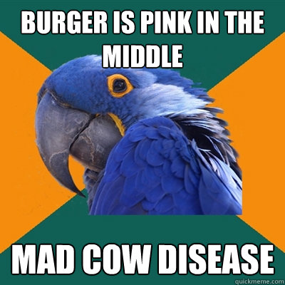 burger is pink in the middle mad cow disease   Paranoid Parrot
