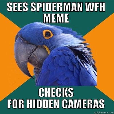SEES SPIDERMAN WFH MEME CHECKS FOR HIDDEN CAMERAS Paranoid Parrot