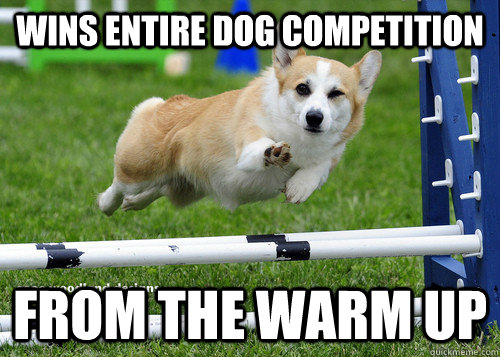 Wins entire dog competition from the warm up - Wins entire dog competition from the warm up  Ridiculously Photogenic Dog