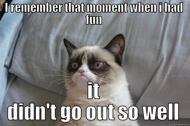 Fun Moments - I REMEMBER THAT MOMENT WHEN I HAD FUN IT DIDN'T GO OUT SO WELL Grumpy Cat