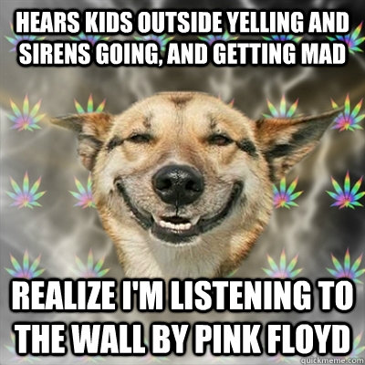 Hears kids outside yelling and sirens going, and getting mad Realize I'm listening to the wall by pink floyd  Stoner Dog