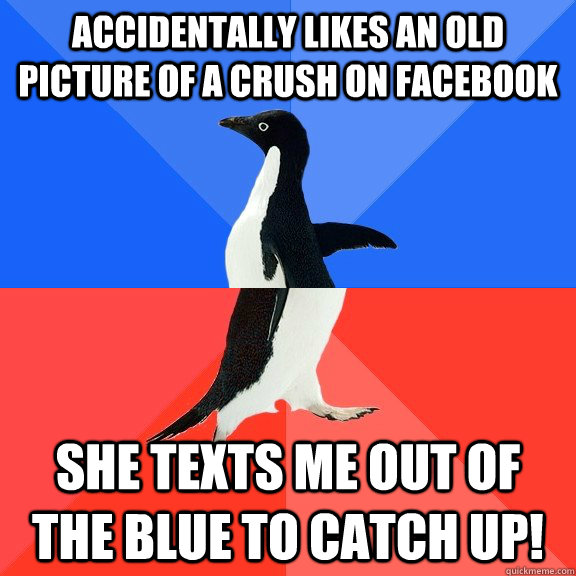 Accidentally likes an old picture of a crush on facebook She texts me out of the blue to catch up!  Socially Awkward Awesome Penguin