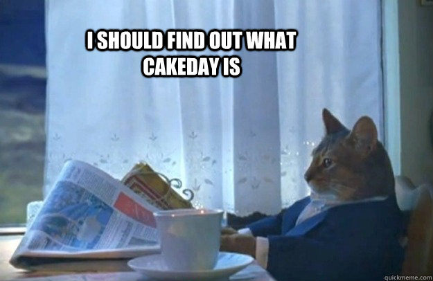 I should find out what cakeday is - I should find out what cakeday is  Sophisticated Cat
