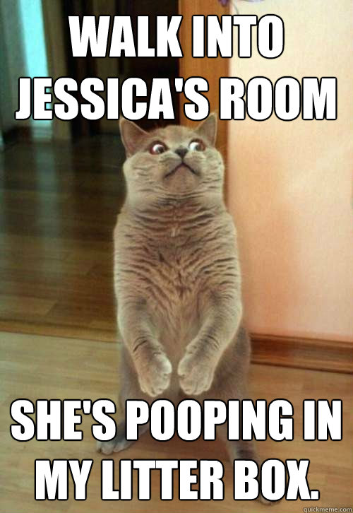 Walk into Jessica's room She's pooping in my litter box.  Horrorcat